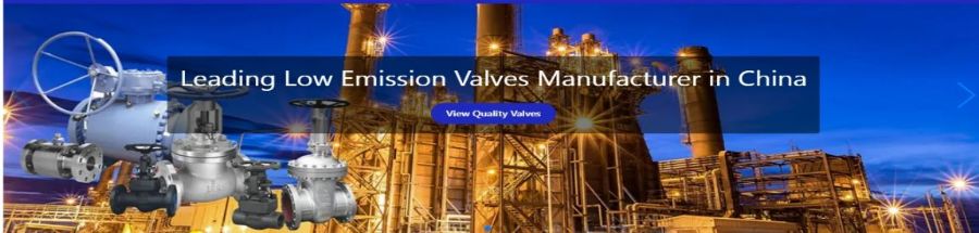 China Valve Packing Co., Ltd.