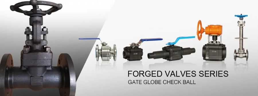 China Forged Valves Co., Ltd.