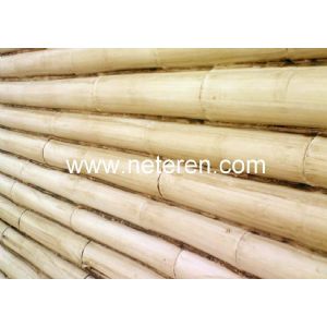 NETEREN Bambu Kaplamalar - Yeni rn 2008 