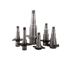 Spindle forging for RV