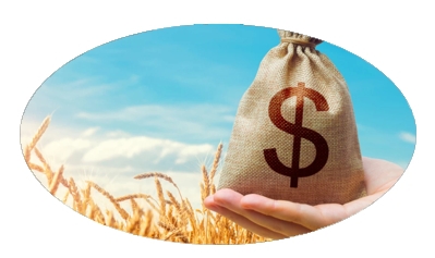 MiRSAN GIDA TARIM HAYVANCILIK İNŞAAT SANAYi TiCARET LTD. STi.