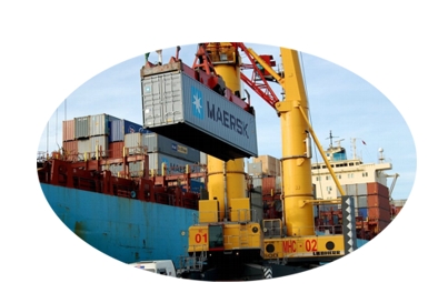 ASELKON CRANE 