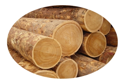 Ahsap Decking